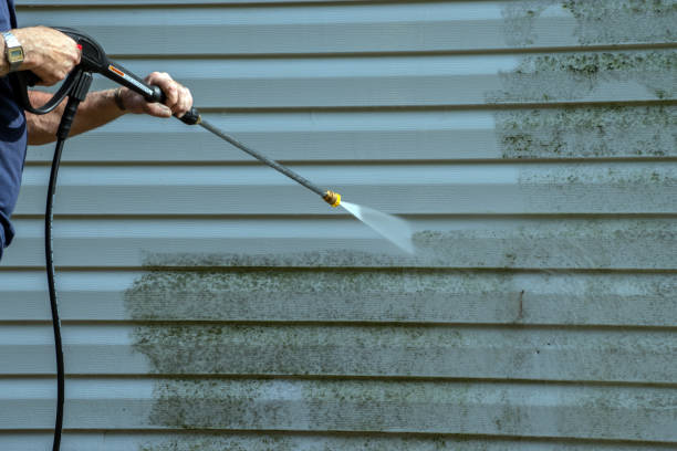 Best Deck Pressure Washing  in Port Norris, NJ